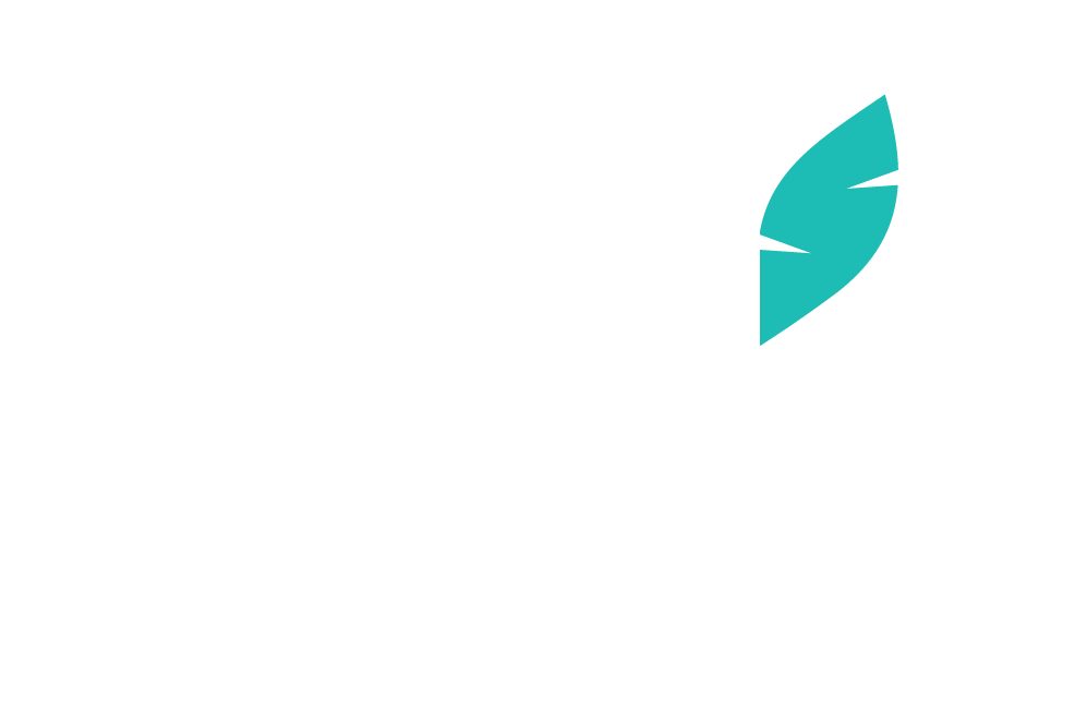 The Seed